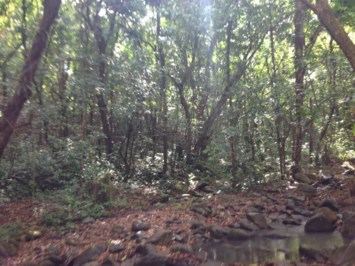 Obituary of Samuel López de Victoria Rivera