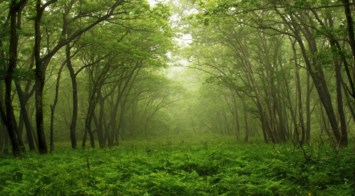 Obituary of Ronald C. Mason