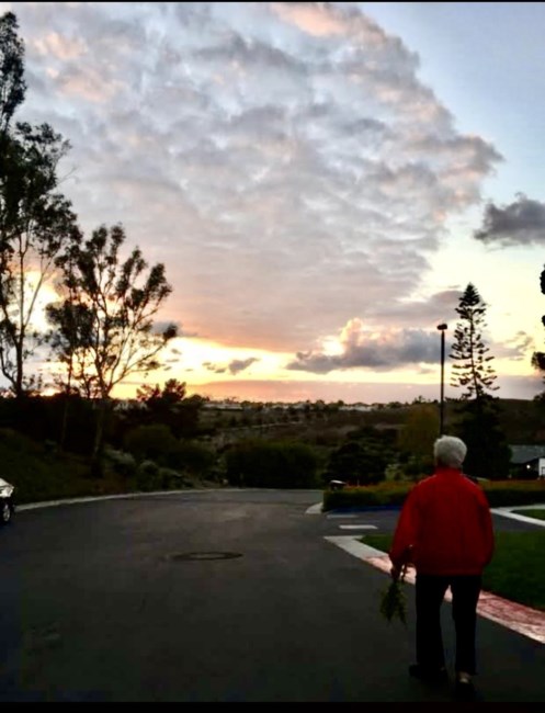 Obituary of Socorro "Corry" Sandoval