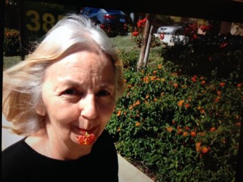 Obituary of Judith Ann Wieand