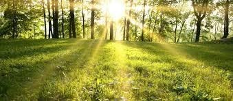 Obituary of Douglas Powell