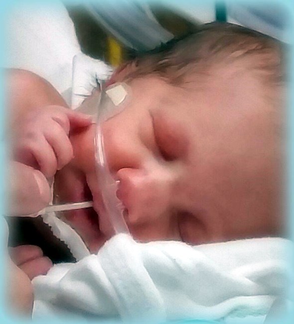 Obituary of Jaxon Paul Musselwhite