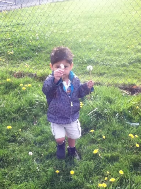 Obituary of Enrique Jose Sedano Jr.