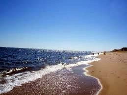 Obituary of Delia A. Burke