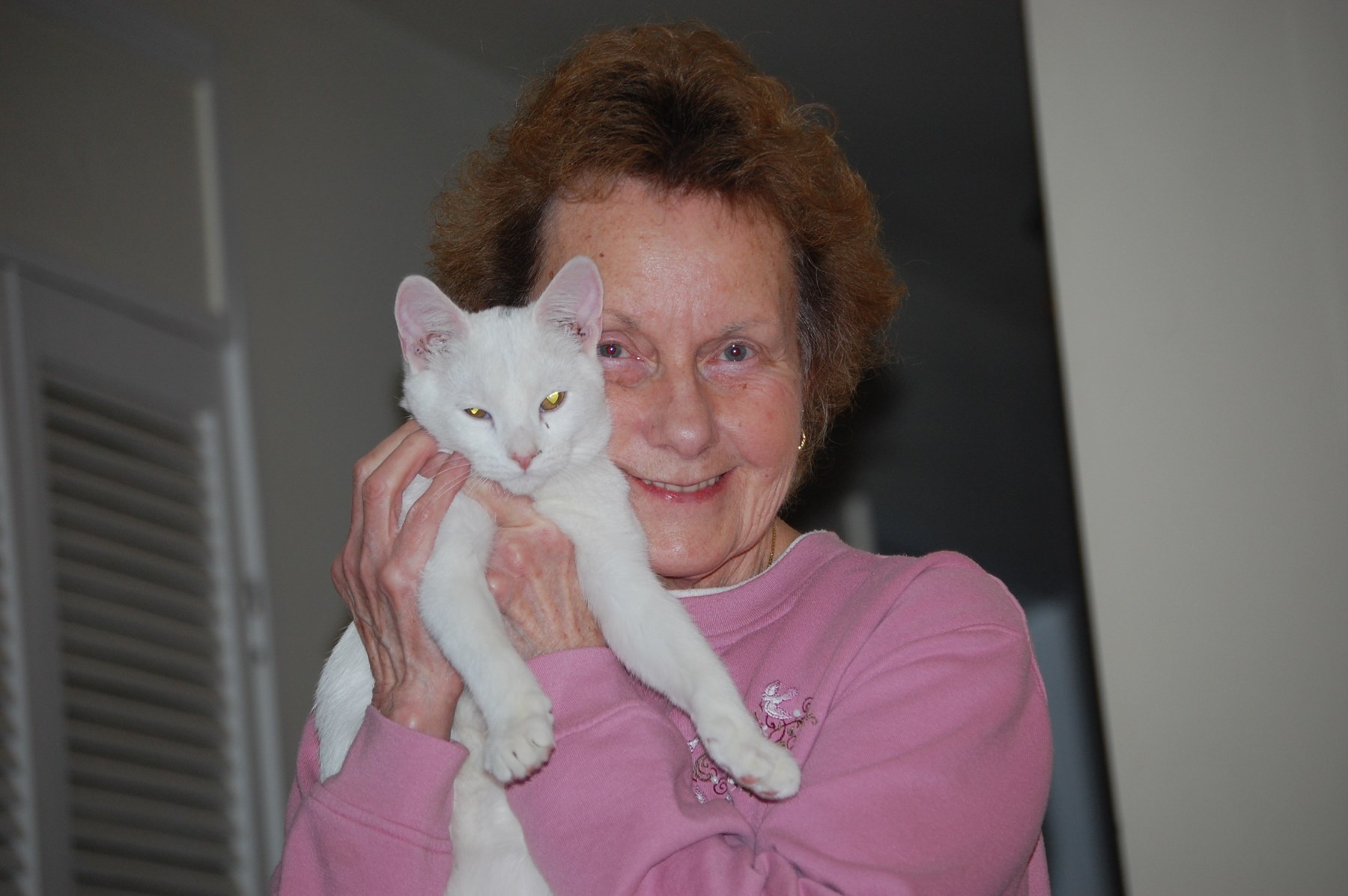 Obituary of Beverly Ann Handel