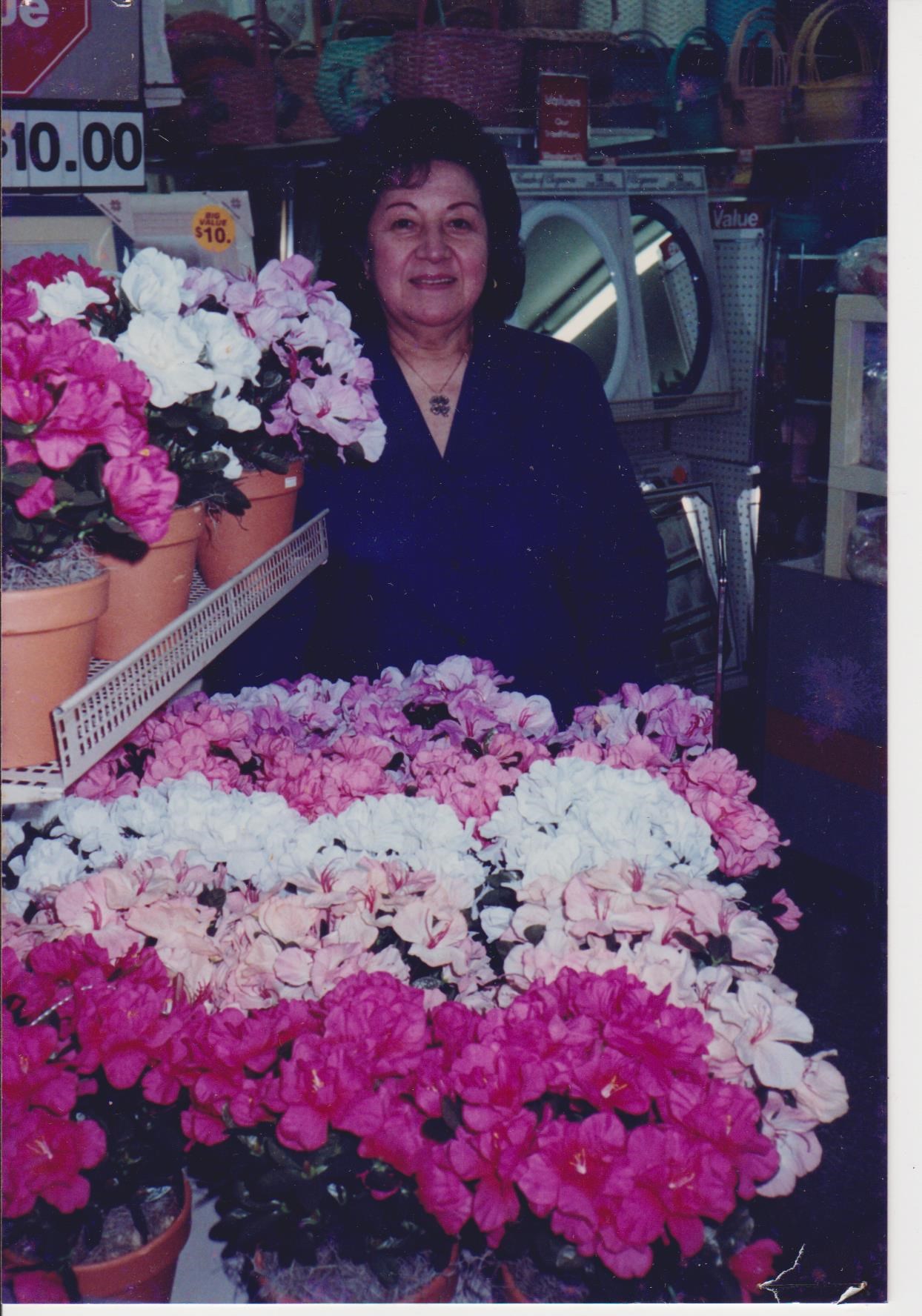 Obituary of Ann Velasquez