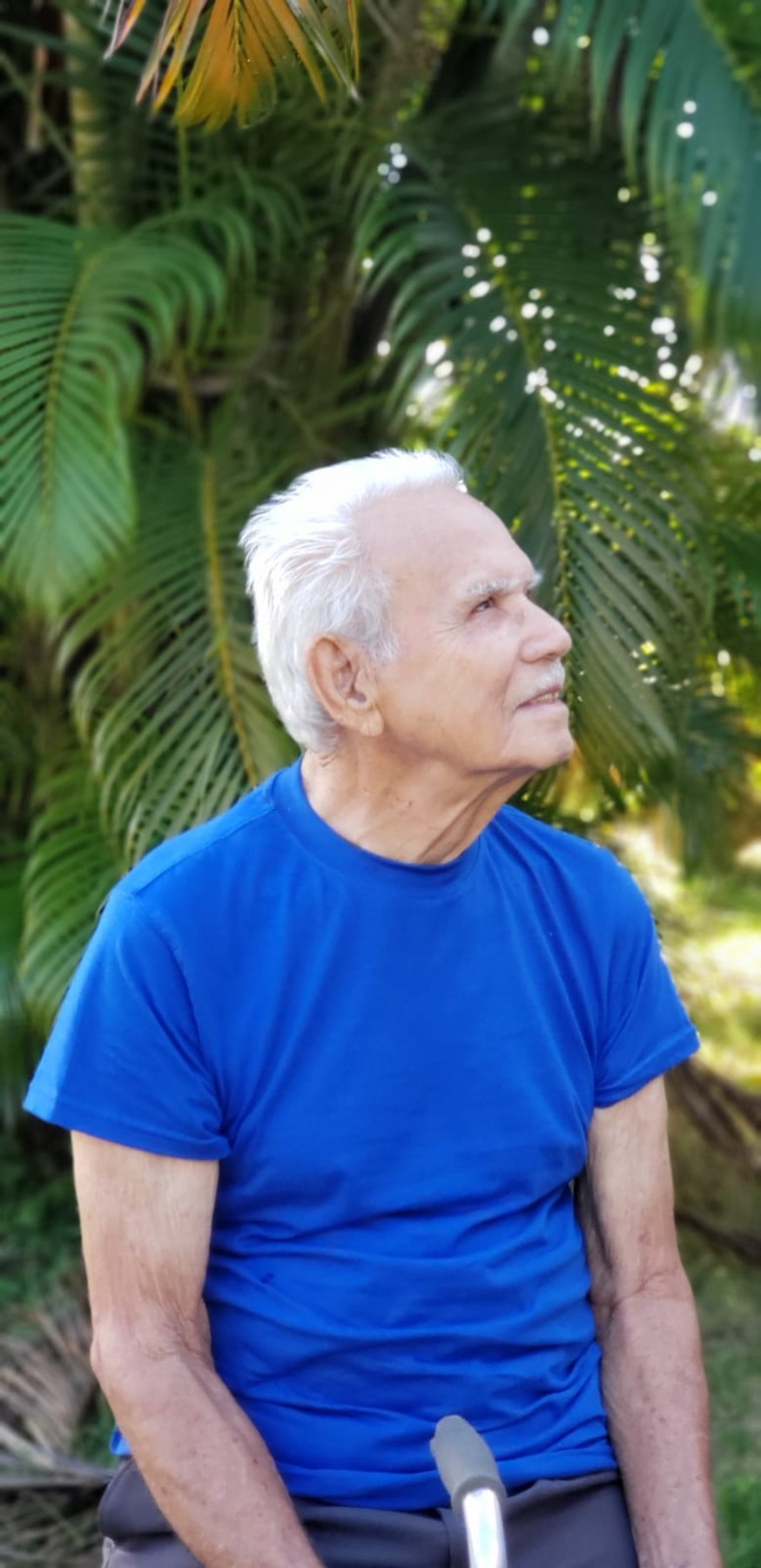 Obituary of Rafael Rodríguez Delgado