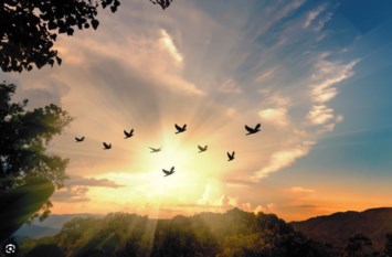 Obituary of Vernon Ray Ward