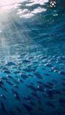 Obituary of William Neal Erhard