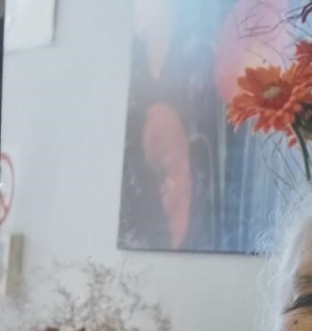 Oralia Rivera Obituary Weslaco, TX