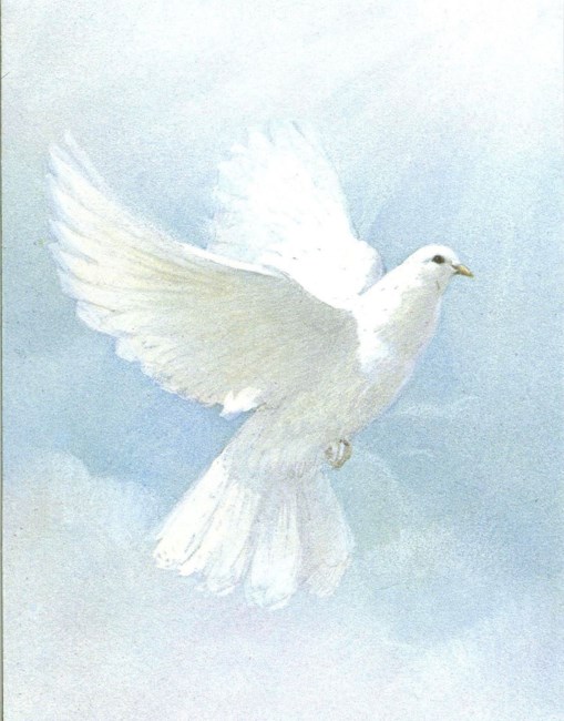 Obituary of Antonio Padilla-Barientos