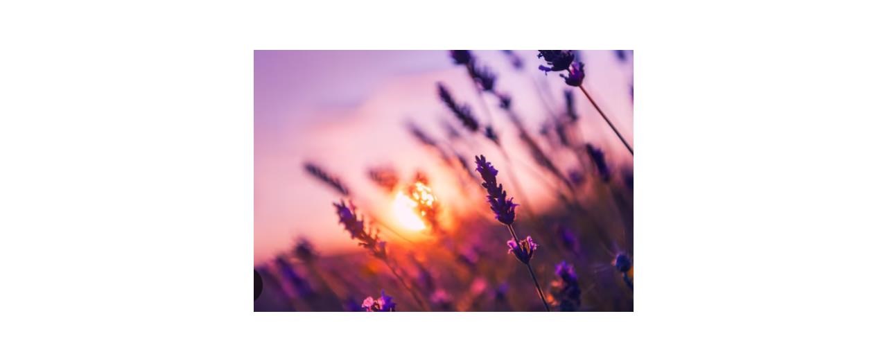 Obituary of Kathleen Maria Callahan