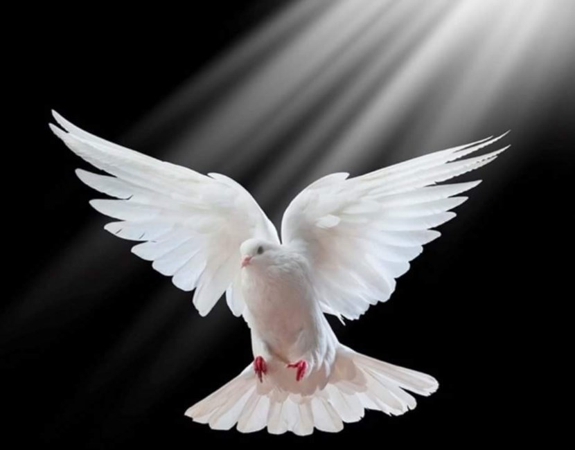 Obituary of Donna Tallman.