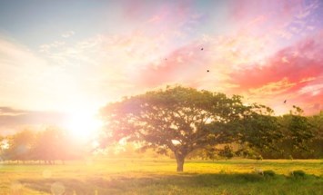 Obituary of Nancy Louise Hayes