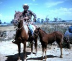 Harold Thompson