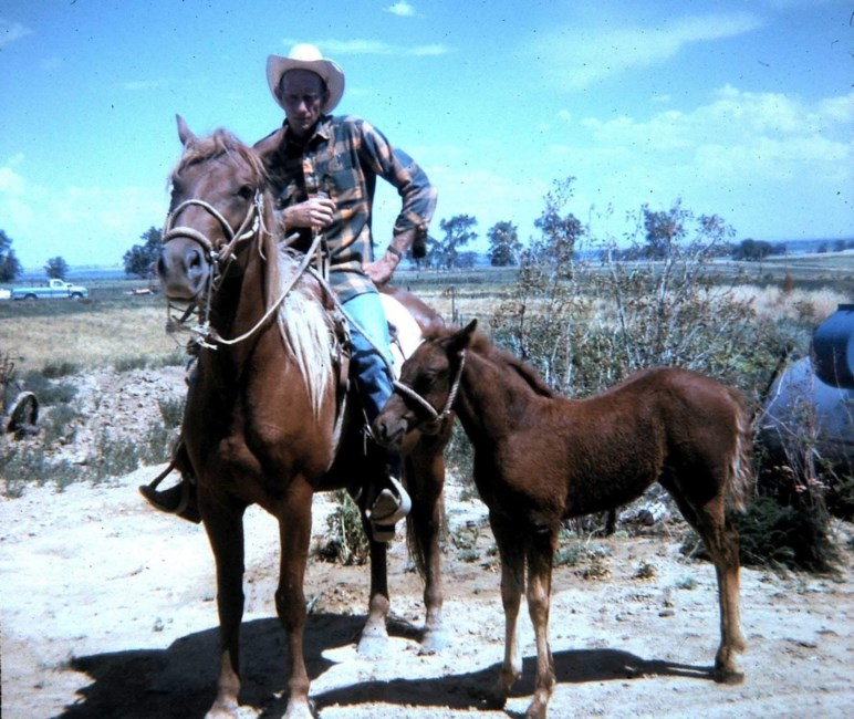 Obituary of Harold Eugene Thompson