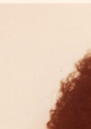 Michele Reynolds Obituary Brentwood, MD