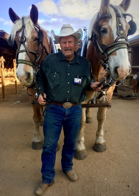 Obituary of Steven George Thoms