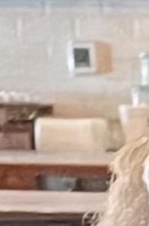 Janet Franceschi Obituary - Brandon, FL