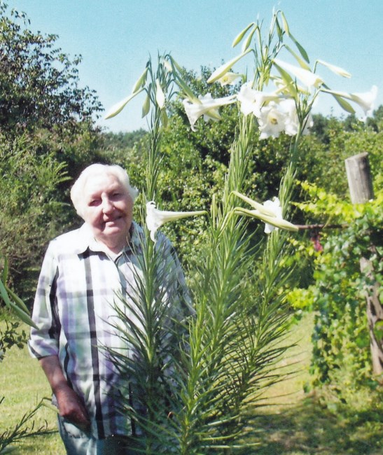 obituary image
