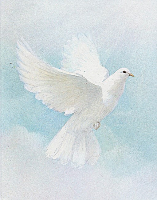 Obituary of June Marie Horn