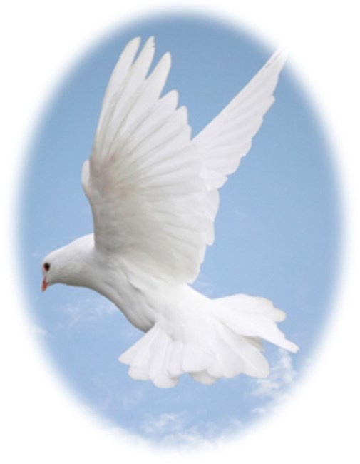 Obituary of June Isabelle Martin