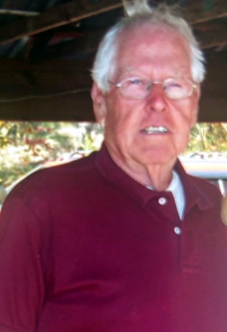 Obituary of Luther Clyde Perkins