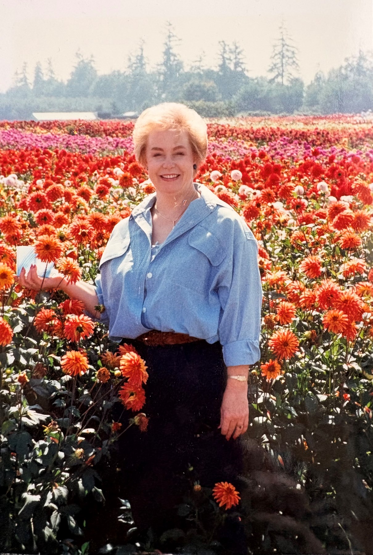 Avis de décès de Charlotte Joan Springsteen-Mason