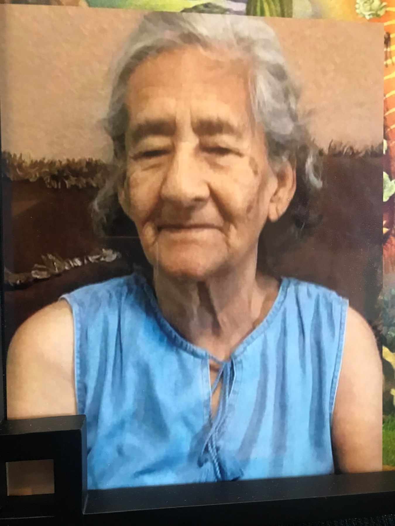 Obituary of Delfina Sanchez Bermudez