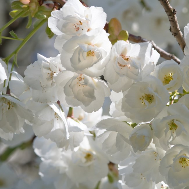 Obituary of Marilyn T Franey