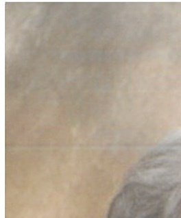 Rose Forner Obituary Pueblo, CO