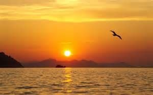 Obituary of Romeo Cesar Sanchez