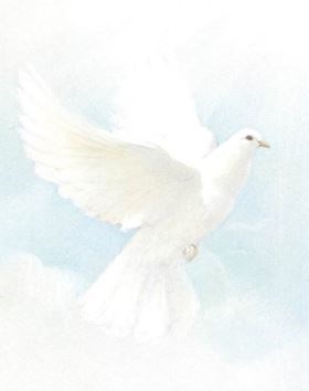 Obituary of Joy Lynn Starman