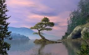 Obituary of Paul J Mika