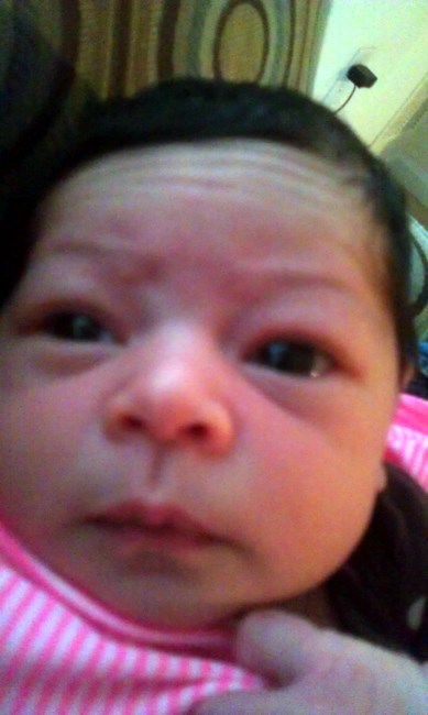 Obituary of Mikayla Ray Louis