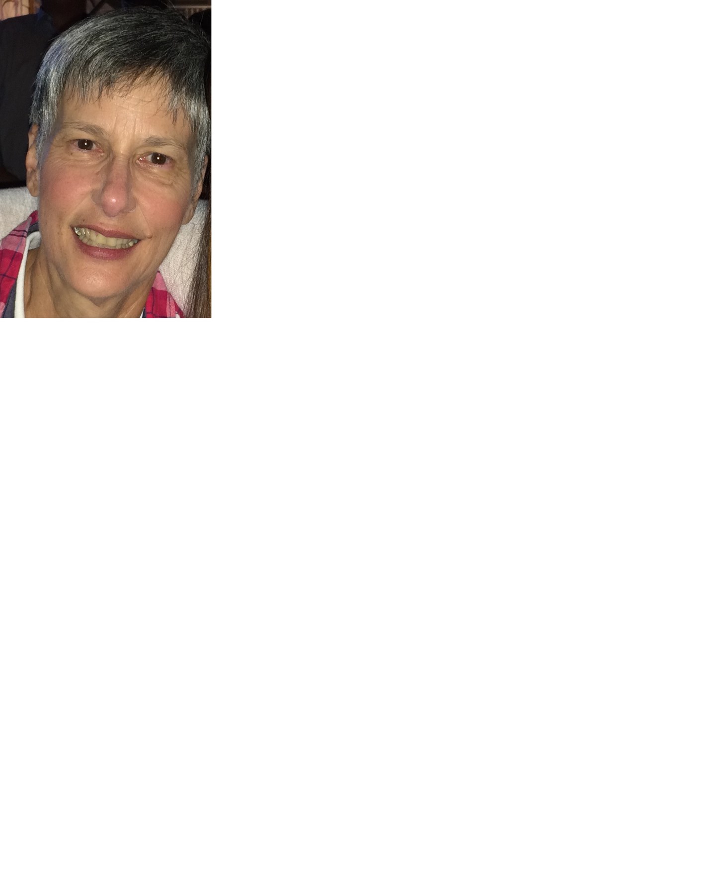 Obituary of Denise LaRose Genovese