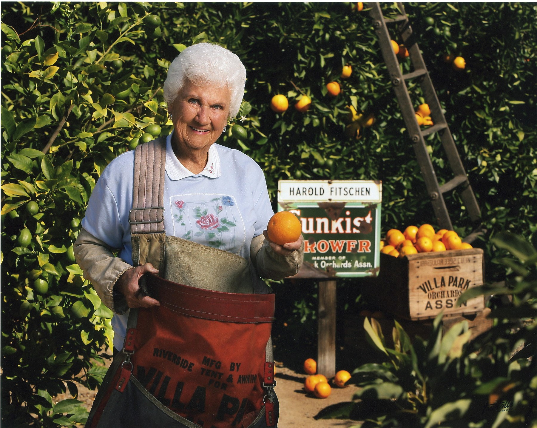 Obituary of Julia Emily Fitschen