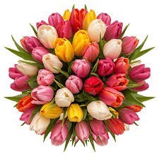 Obituary of Veronica Ann Kinard