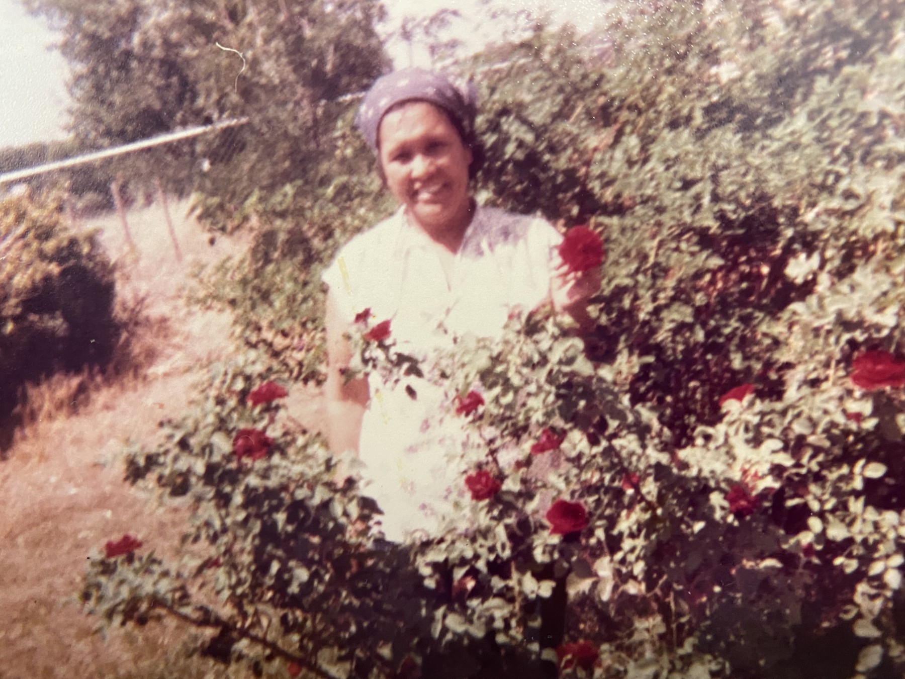 Obituary of Maria Mercedes A. Dominguez