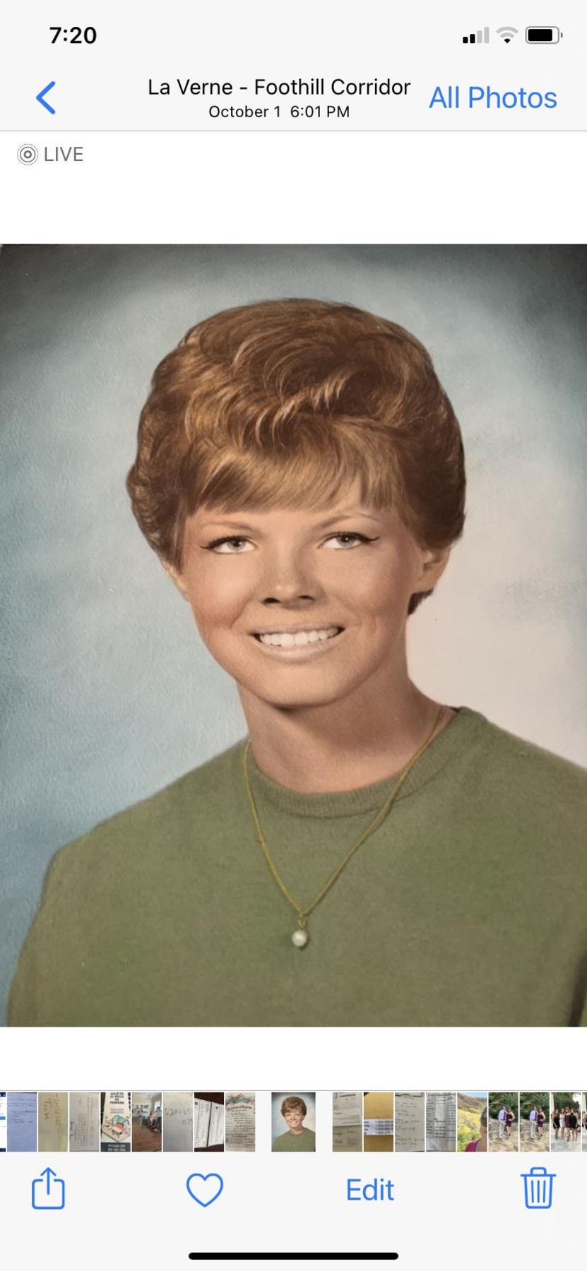 Obituary of Linda D. Roesch