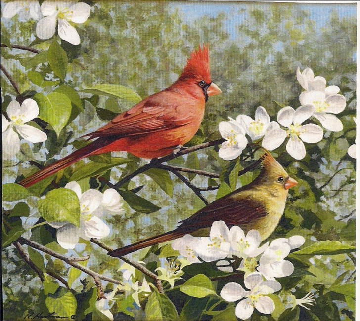 Obituary of Patty Virginia Camp