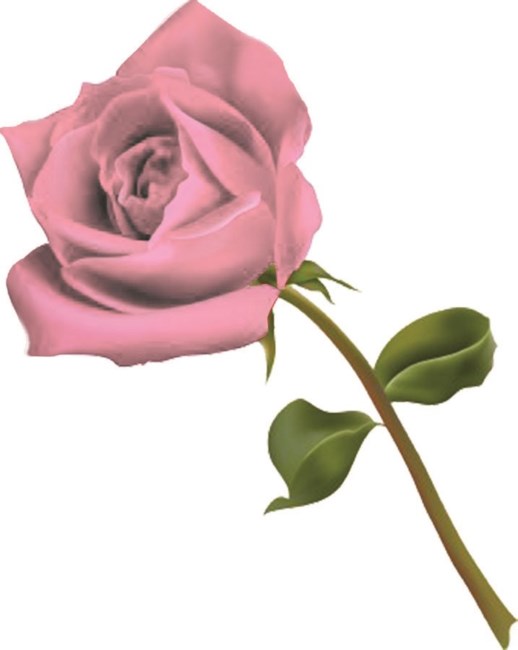 Obituary of Martha Dianne Morrison