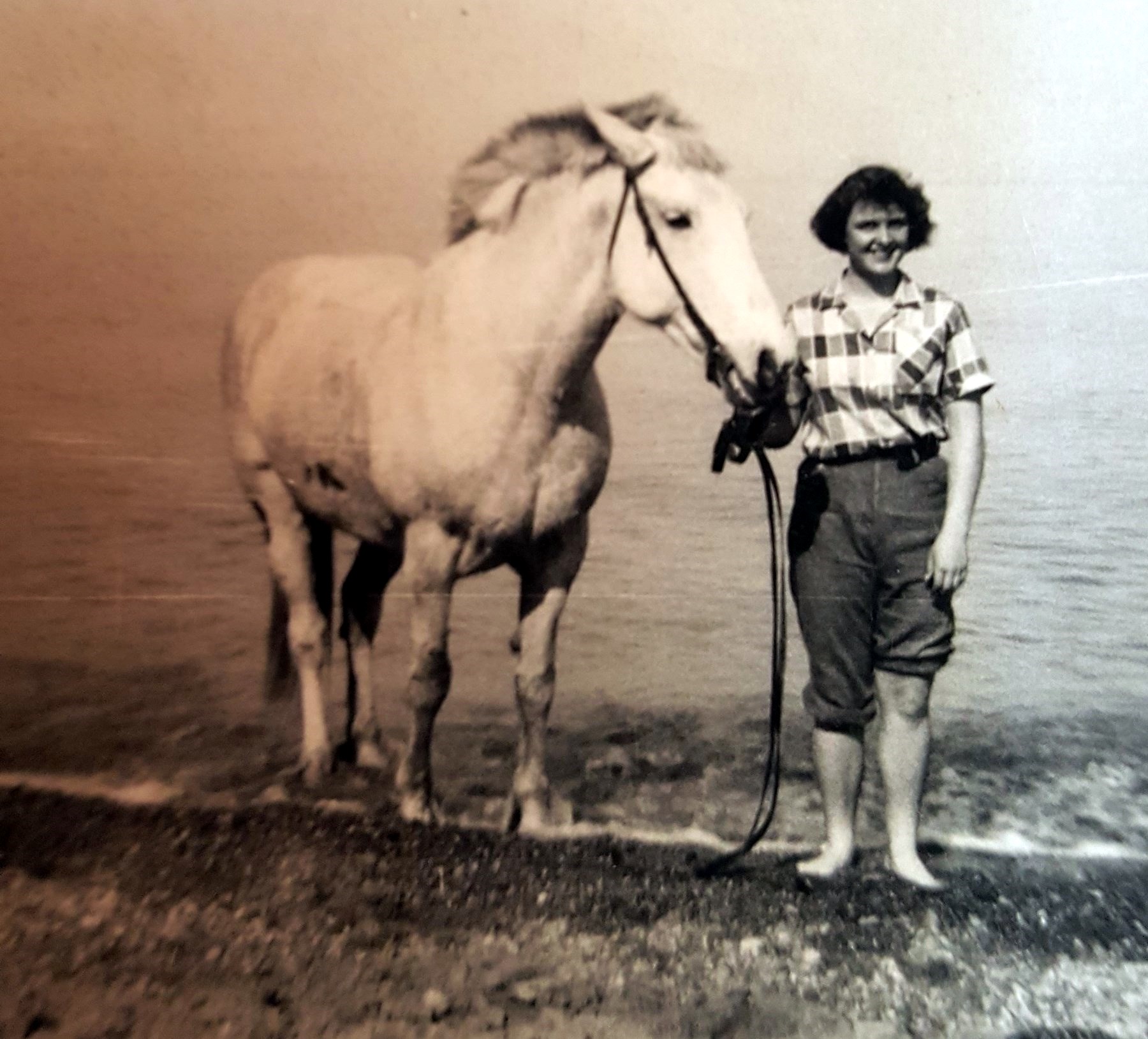 Lois Virginia Koppel Obituary Mesa, AZ