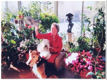 Obituary of Ellen Neel McQuillan