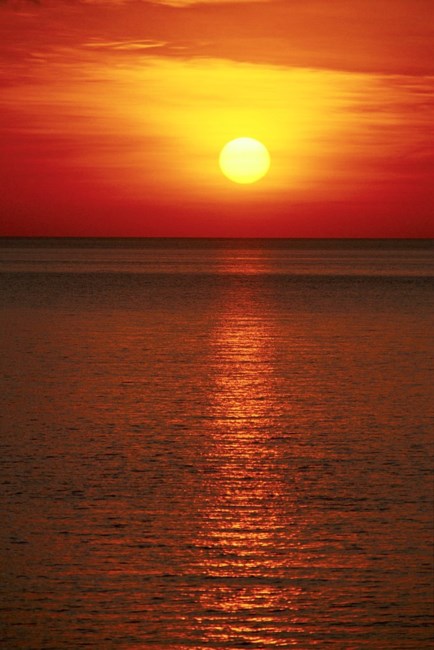 Obituary of Steve P. Yezo