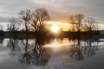 Obituary of Sang Van Doan