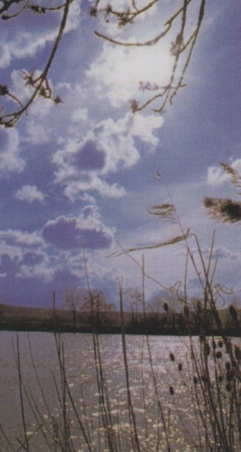 Obituary of Robert O. Branch Jr.