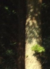 Michael Steven Robinson Obituary Gastonia, NC