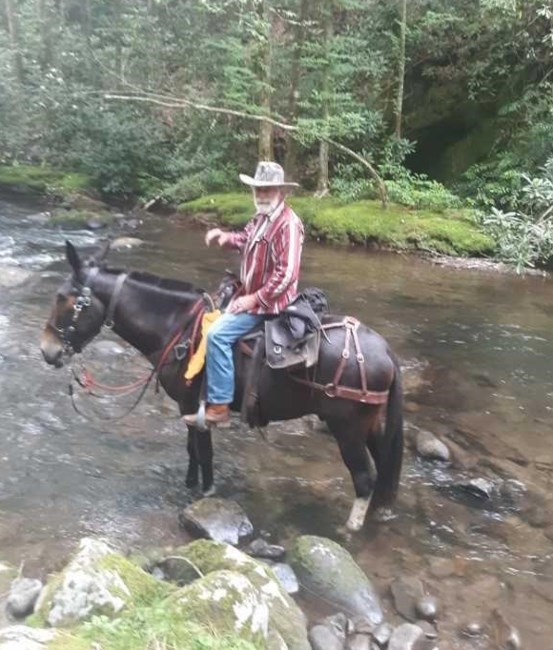 Obituary of Roy Lynn "Bubba" Cash