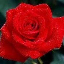 Obituary of Doris Ann Wood